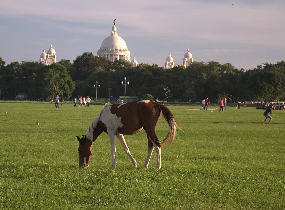 Kolkata Maidan